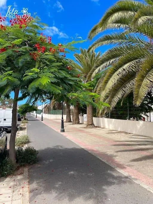 B-Rent Alisios Playa Crispy Sunny Apartment Corralejo Spain